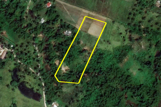 Residential Asset Estate within Economic Zone