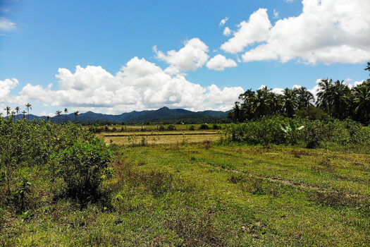 Residential Asset Estate within Economic Zone