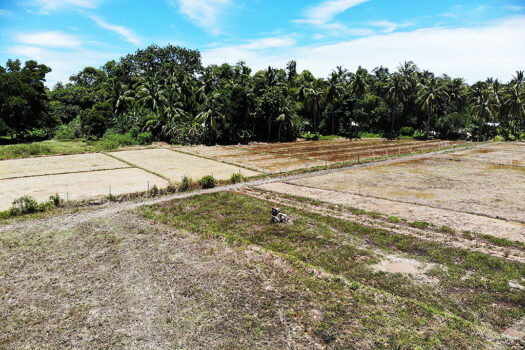 Residential Asset Estate within Economic Zone