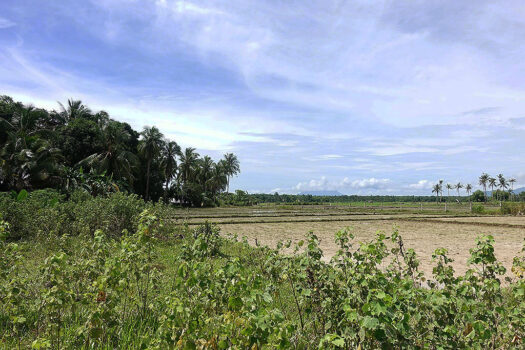 Residential Asset Estate within Economic Zone