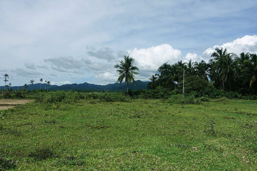 Residential Asset Estate within Economic Zone