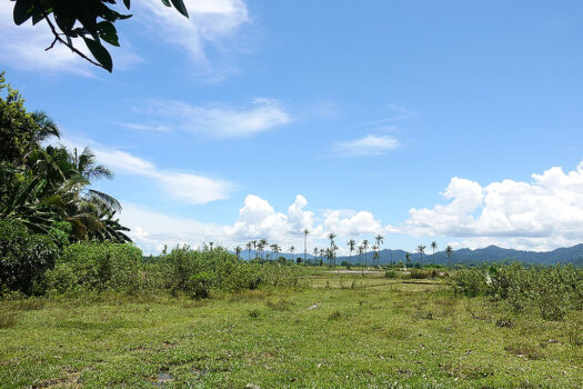 Residential Asset Estate within Economic Zone