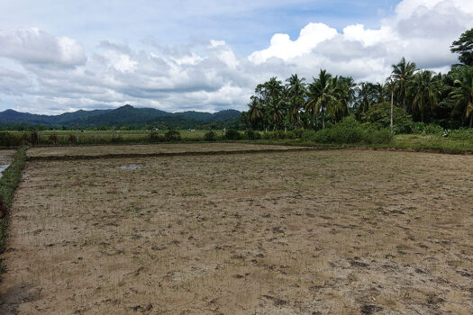 Residential Asset Estate within Economic Zone