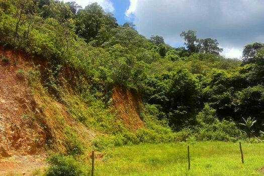 Commercial Estate near El Nido Township