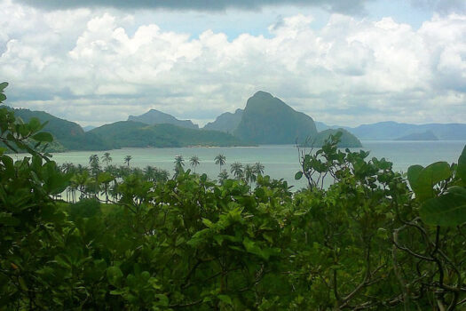 Commercial Estate near El Nido Township
