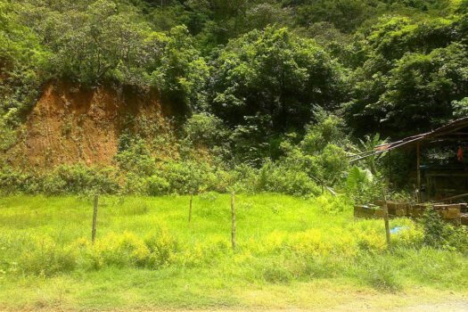 Commercial Estate near El Nido Township