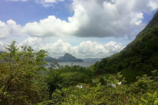 Commercial Estate near El Nido Township