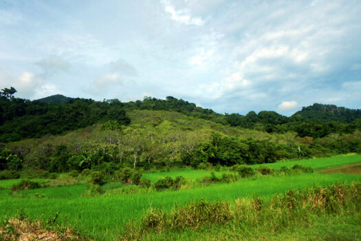 Overlooking Hacienda Estate with Rolling Hills