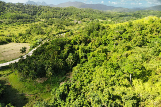 The Greenview Expressway Investment Estate
