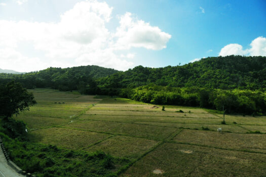 The Greenview Expressway Investment Estate