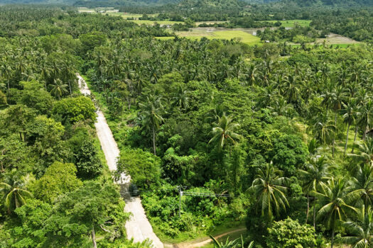 Corner Estate Near New Canipo Beach