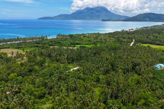 Corner Estate Near New Canipo Beach