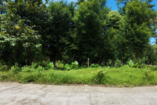 Corner Estate Near New Canipo Beach
