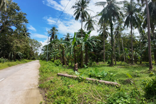 Corner Estate Near New Canipo Beach