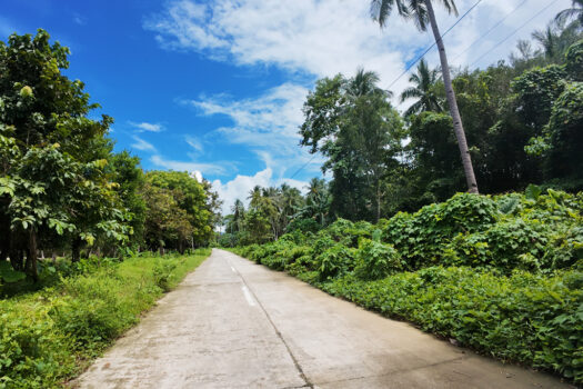 Corner Estate Near New Canipo Beach