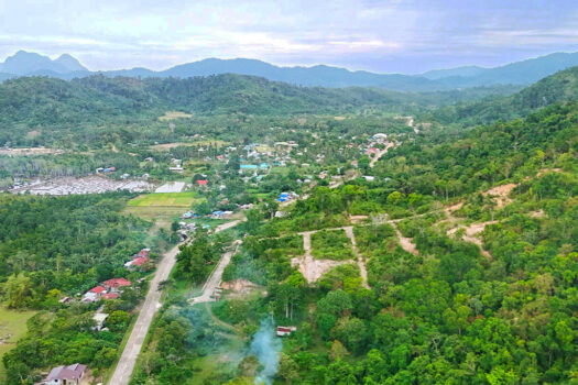Vast Overlooking Estate with Exotic Island Views