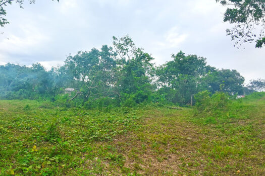 Vast Overlooking Estate with Exotic Island Views