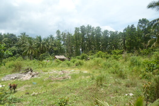 Agri-Residential Estate Near Beach