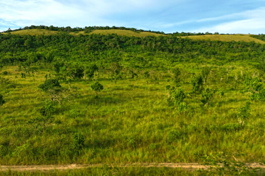 Sizable Estate Along Municipal Highway