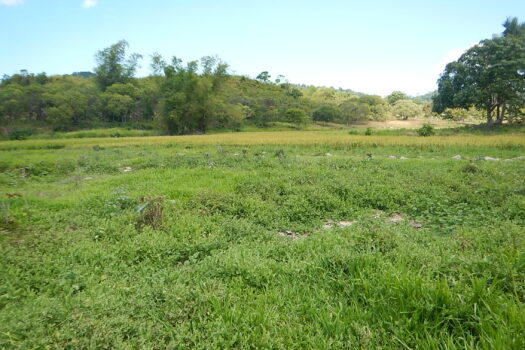 Residential Agri-Estate Adjacent to Beach