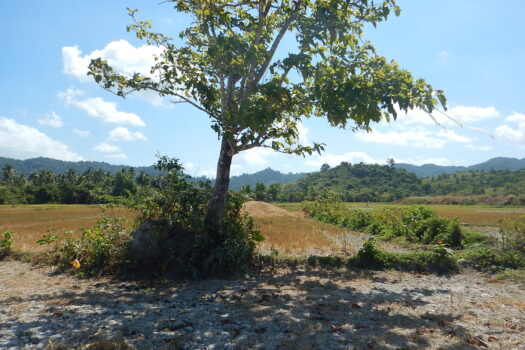 Residential Agri-Estate Adjacent to Beach