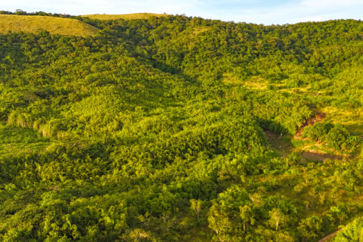 Elevated Valley Estate Homestead