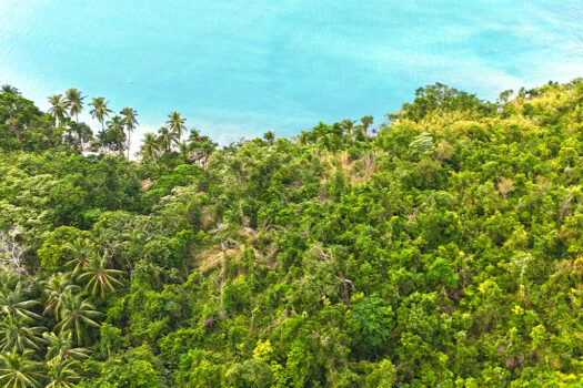Elevated Seafront Estate with Island Views