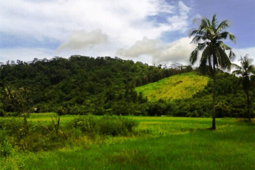 Inland Eco Estate Along Nat’l Highway