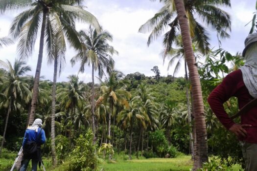 Inland Eco Estate Along Nat’l Highway