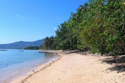 Upcoming Tourism Zone Beach District Estate