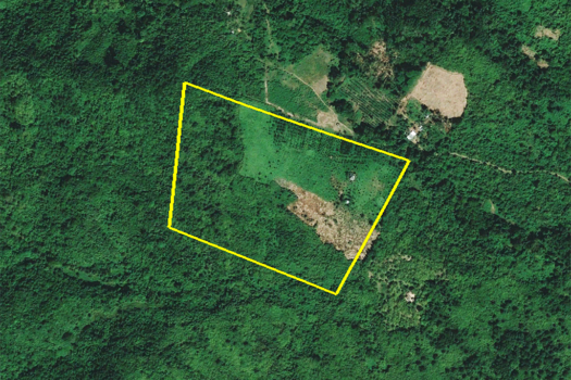 Vast Agricultural Estate Near Ocean