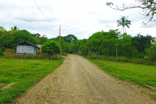 Vast Agricultural Estate Near Ocean