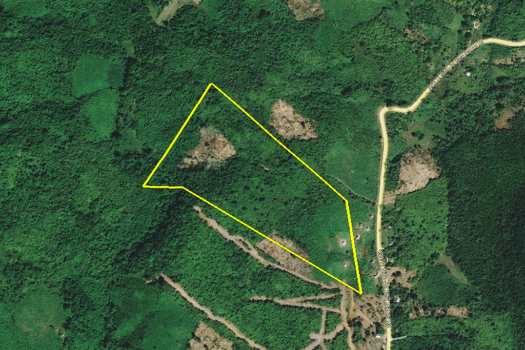 Immense Agricultural Estate Near Ocean