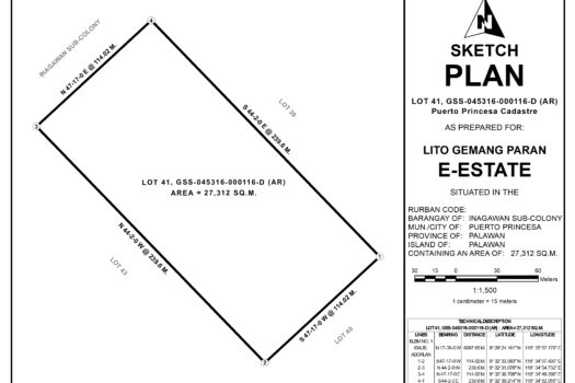 Choice Residential Estate in Puerto Princesa