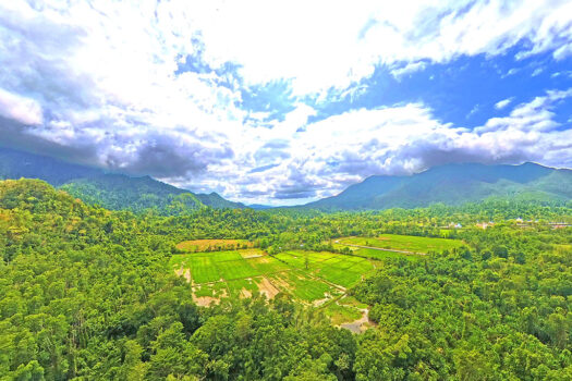 Eco-Estate in Exclusive Tourism Zone
