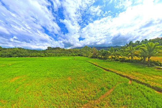 Eco-Estate in Exclusive Tourism Zone