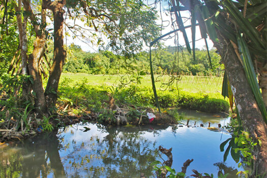 Eco-Estate in Exclusive Tourism Zone