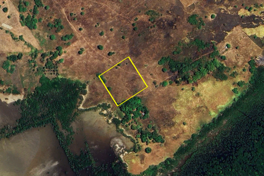 Cleared Estate Near the Shore