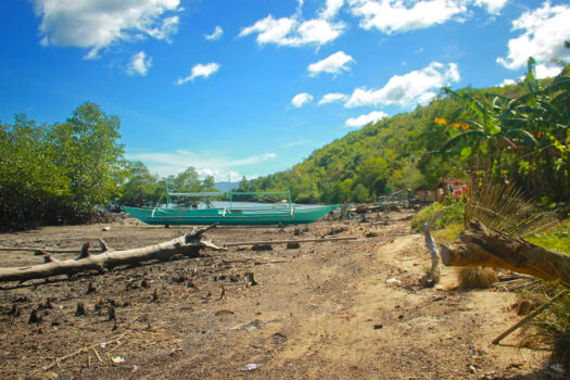 Cleared Estate Near the Shore