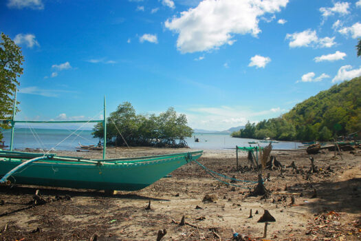 Cleared Estate Near the Shore