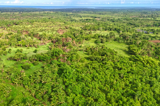 Choice Residential Estate in Puerto Princesa