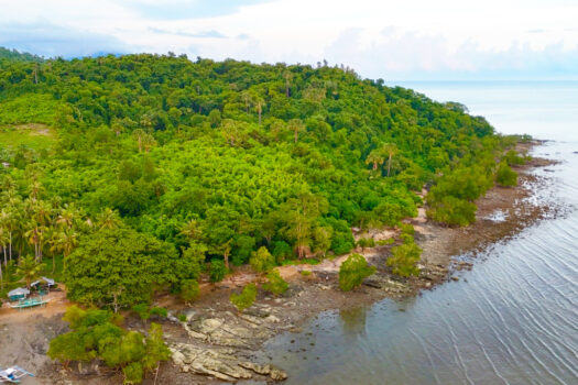 Coastal Hillside Estate with Island Views