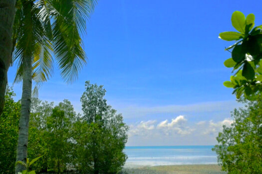 Mangrove Lovers Beach Estate with Island Views