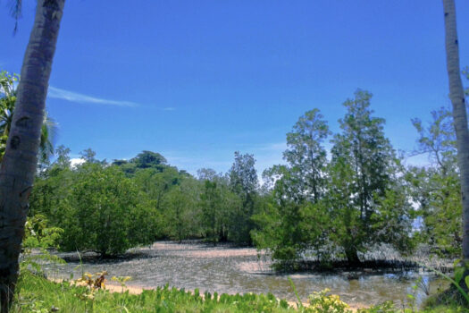 Mangrove Lovers Beach Estate with Island Views