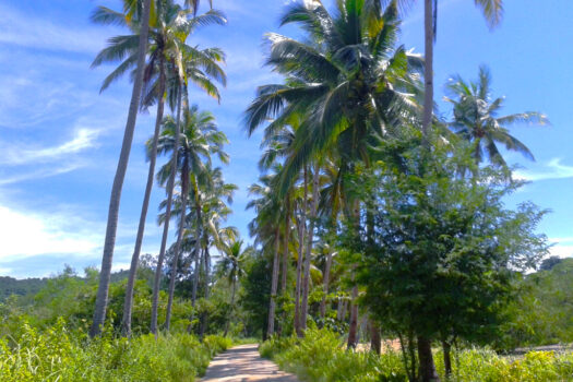 Mangrove Lovers Beach Estate with Island Views